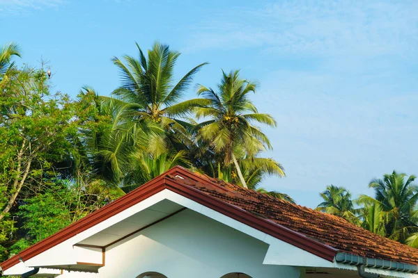 Roof of a house made of tiles and palm trees against the sky.