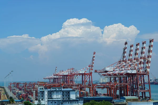 Lot Cranes Seaport — Stock Photo, Image