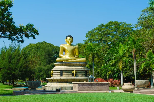 Buda Sentado Dourado Parque Cidade — Fotografia de Stock