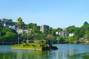 Köyde gölün ortasında yeşil bitkileri olan yapay bir ada..