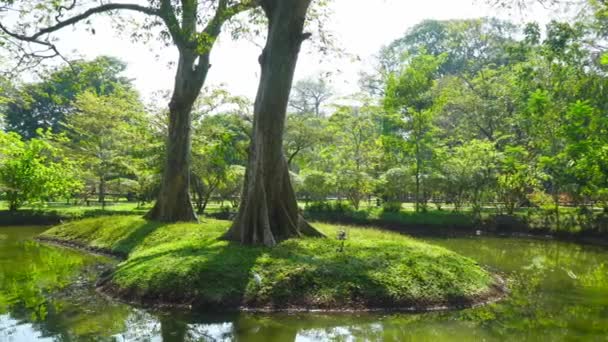 Projete Ilha Terrestre Uma Lagoa Parque — Vídeo de Stock