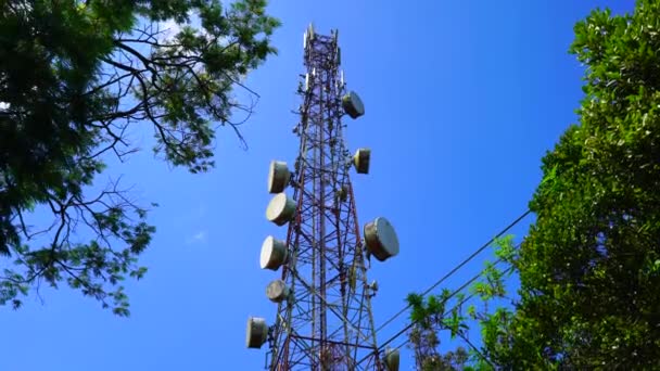 Mavi Gökyüzünün Arka Planına Ağaçların Yapraklarına Karşı Mobil Iletişim Kulesi — Stok video