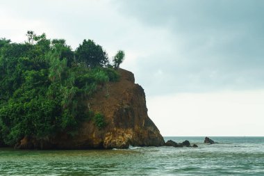 Okyanus kıyısında yeşil bitki örtüsüyle dik uçurum.