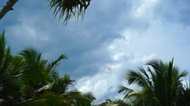 Palmiye ağaçlarının arka planına karşı gökyüzünde paraglider.