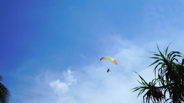 Paraglider Odlétá Pro Palmy — Stock video