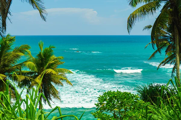 stock image Tropical plants and turquoise ocean in Sri Lanka.