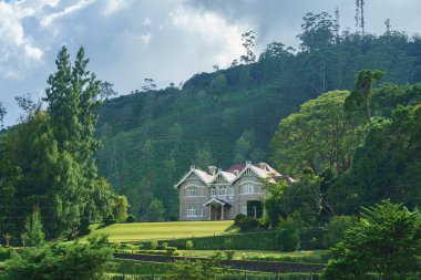 Çimenlikteki ev Ağaçların arasındaki tepede.
