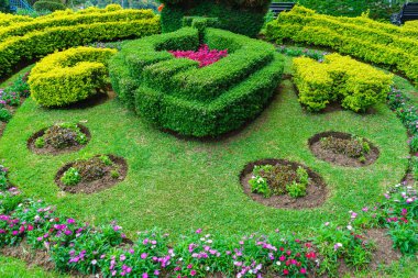 Bahçedeki çiçek çalılarından peyzaj tasarımı.