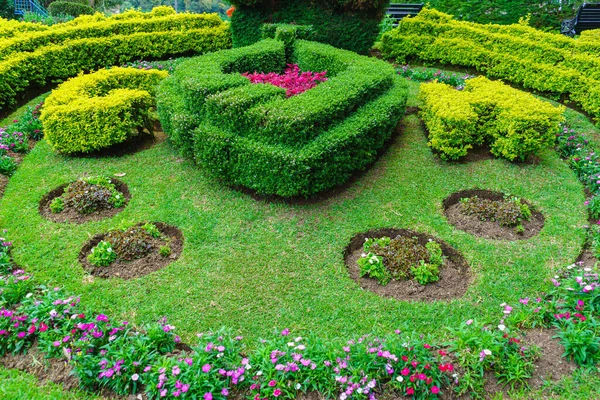 Diseño Del Paisaje Los Arbustos Flores Jardín — Foto de Stock