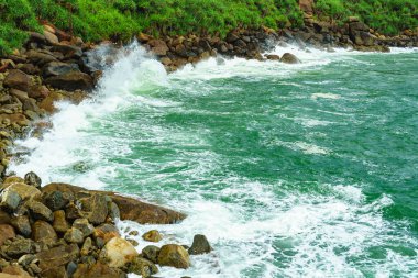 Köpüklü ve kayalık sahilli deniz dalgaları.