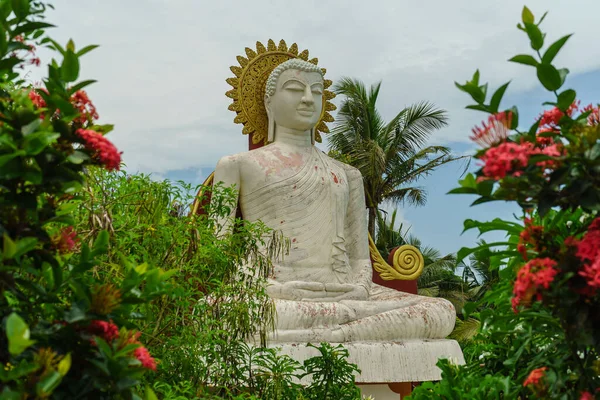 Παλιό Άγαλμα Του Βούδα Στον Κήπο Λουλούδια Και Φυτά — Φωτογραφία Αρχείου
