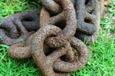 Çimlerin üzerinde eski paslı bir zincir var..