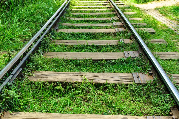 Ferrocarril Viejo Traviesas Cubiertas Hierba Verde — Foto de Stock