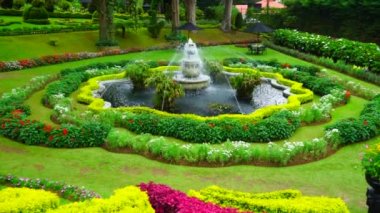 Tasarımcı çalıları ve çeşmesi olan İngiliz bahçesi.