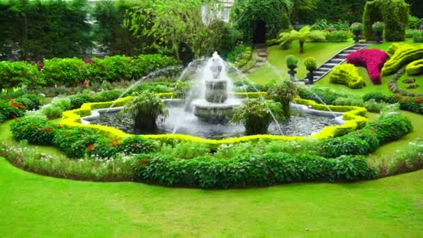 Jardín Increíble Con Flores Una Fuente — Vídeo de stock