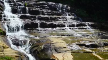 Ormandaki kaya katmanlarının üzerinden akan su akıntıları kapanır..