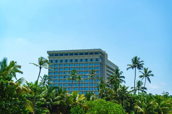 A large hotel building among the palm trees.