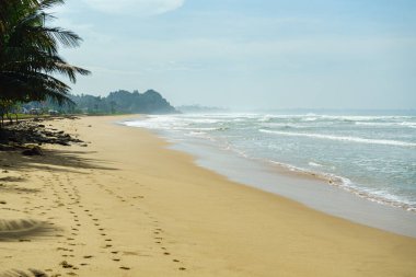 Dalgalı okyanus manzaralı ve kumsalda hafif bir sis var..