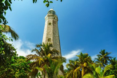 Mavi gökyüzüne karşı tropikal ağaçlarda deniz feneri.
