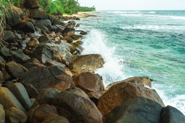 Büyük taşları ve fırtınalı okyanusu olan tropikal bir adanın kıyısında..