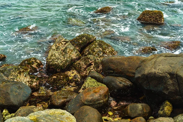 Υγρές Πέτρες Βρύα Και Ήρεμη Διάφανη Θάλασσα — Φωτογραφία Αρχείου