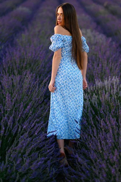 Attraktiv Smal Glad Flicka Blå Klänning Lavendel Fält Vid Solnedgången Stockfoto