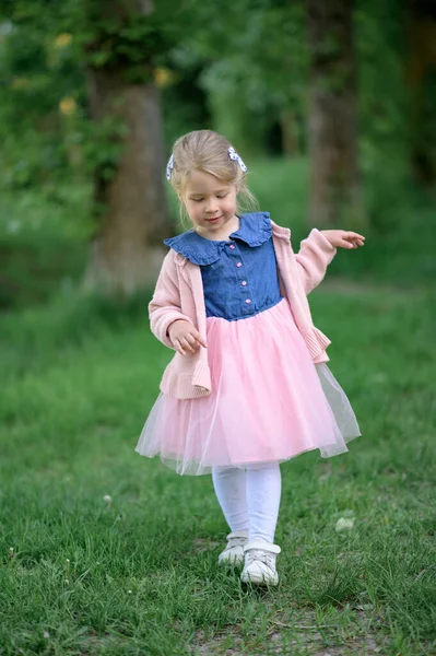 3歳の女の子がドレスとピンクのセーターで公園を歩いています 夏時間だ 赤ん坊は草の上を歩く — ストック写真