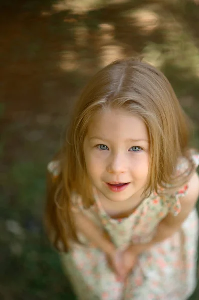 Éves Kislány Nyári Ruhában Parkban Nyári Idő Közelkép Fentről Vették Stock Kép