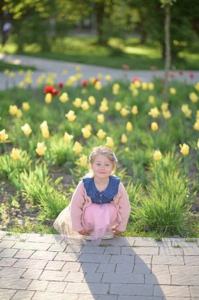 Mała Dziewczynka Letnia Spaceruje Parku Sukience Różowym Swetrze Czas Letni Zdjęcie Stockowe
