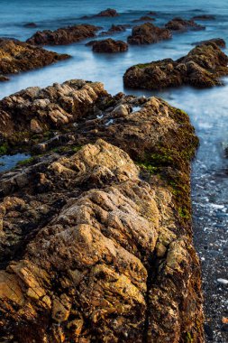 Torre la Sal - kule tuz, Casares, Malaga, İspanya'nın Beach