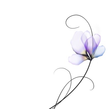 Beyaz arkaplanda güzel çiçekler