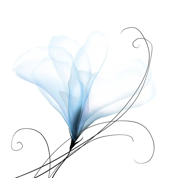 Gyönyörű Virágos Minta Virágokkal — Stock Fotó