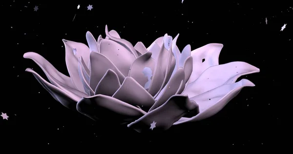 Beautiful Lotus Flower Water — Stock Photo, Image