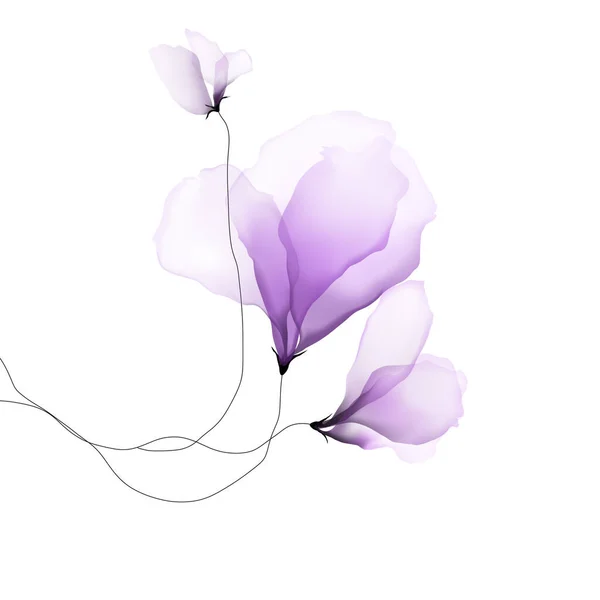 Belles Fleurs Violettes Avec Des Feuilles Isolées Sur Blanc Concept — Photo