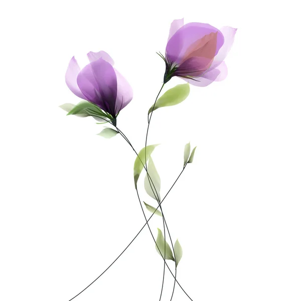 Flores Púrpura Flores Aisladas Sobre Fondo Blanco Ilustración — Foto de Stock