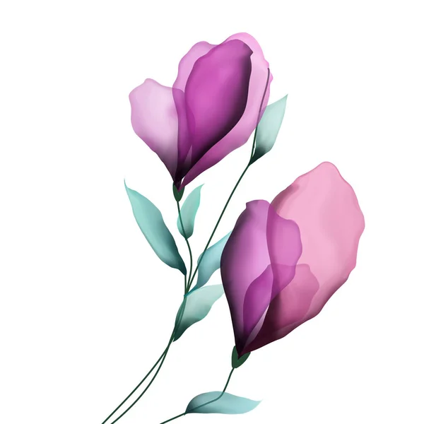 Illustration Pink Rose Isolated White — Stock Photo, Image