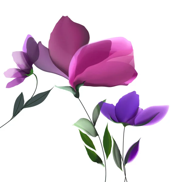 Hermosa Flor Púrpura Aislada Blanco — Foto de Stock