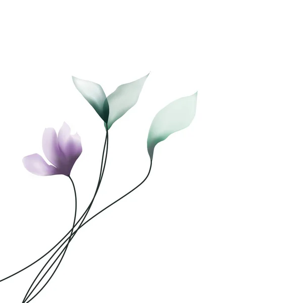 紫丁香和白叶分枝的抽象背景 — 图库照片#