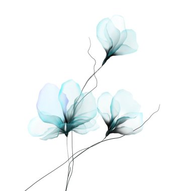     Suluboya çiçekleri davetiye çizimleri şablonu