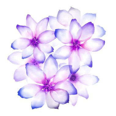   Suluboya çiçekleri şablon çerçeve vignette davet illüstrasyonu