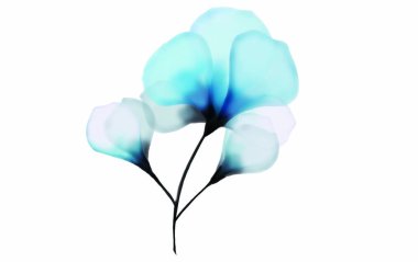 Çiçek arkaplan resimleme sanatı suluboya baskı sanatı 