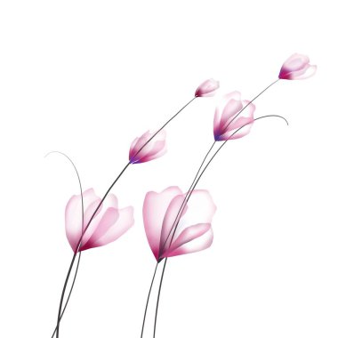 Enerji alanı illüstrasyonu. 3 boyutlu kadın sarmal x-ray sanatının içinde.