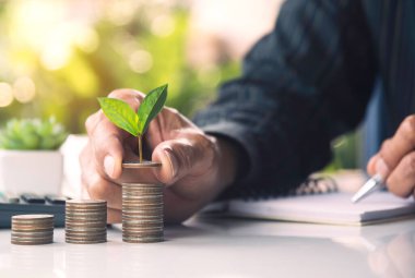 Para yığınları, iş yatırımları büyüme konsepti, tasarruf konsepti, el para yığını..