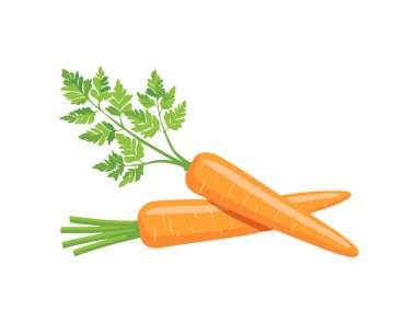 Beyaz arka planda izole edilmiş taze havuç taşıyıcısı. Yakın plan..