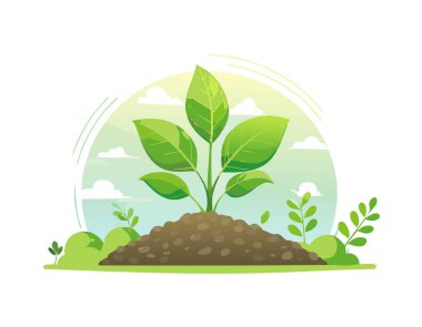 Doğanın arka planında yetişen yeşil bir bitki.