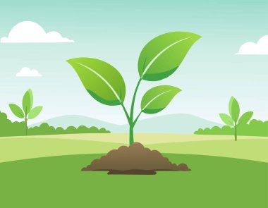 Doğanın arka planında yetişen yeşil bir bitki.