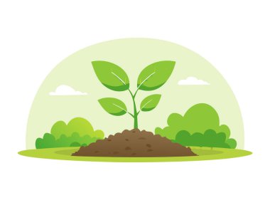 Doğanın arka planında yetişen yeşil bir bitki.