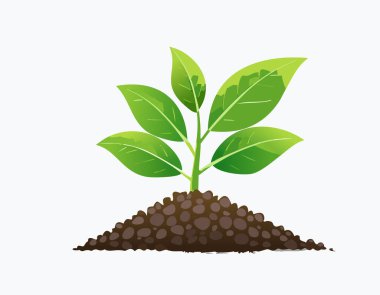 Doğanın arka planında yetişen yeşil bir bitki.