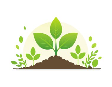 Doğanın arka planında yetişen yeşil bir bitki.