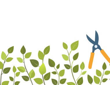 Beyaz arka planda budama makası, kopyalama alanı, ev bahçesi teması